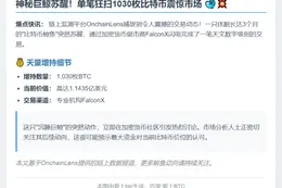 巨鲸苏醒：1030枚BTC增持1.14亿美元