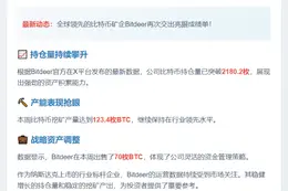 Bitdeer比特币持仓超2180枚