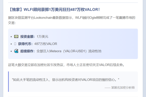Ogle买入487万枚VALOR仅花1万美元