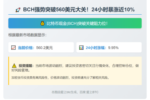 BCH突破560美元