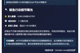 鲸鱼12小时狂购806万ASTER