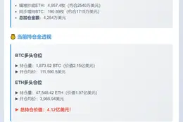 "胜率100%巨鲸加仓至4.12亿"