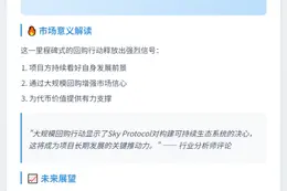 Sky Protocol回购12.5亿SKY，价值8000万USDT