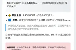 2.45亿USDT流入币安