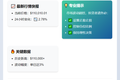 比特币突破11万美元
