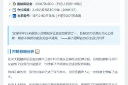 巨鲸加仓2300万避险