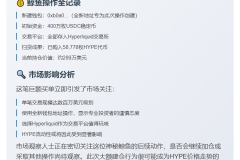 鲸鱼新地址囤积289万美元HYPE