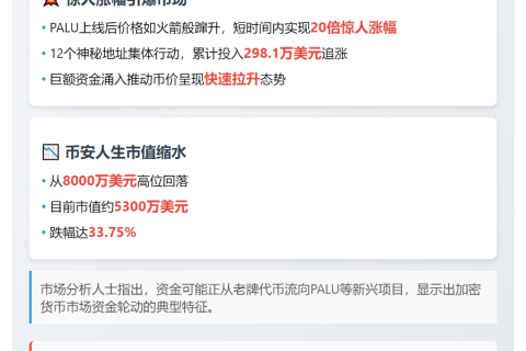 12地址追涨PALU投入298万美元