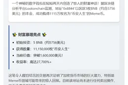 5枚BNB买入1115万枚Meme币，现值160万美元