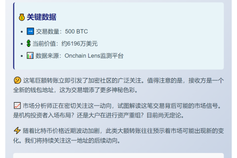 新建钱包获500枚BTC，价值6196万美元