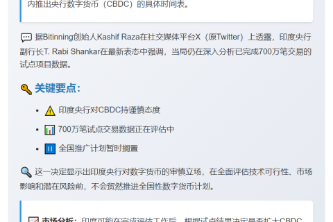 印度暂不全国推行CBDC