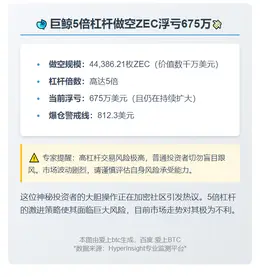 鲸鱼5倍杠杆做空ZEC浮亏675万