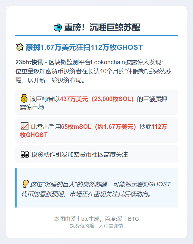 巨鲸10个月后斥资1.67万购入112万GHOST