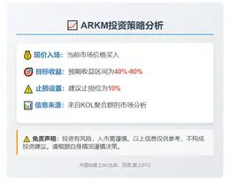 2025-11-02 23:47:21 ARKM投资策略
