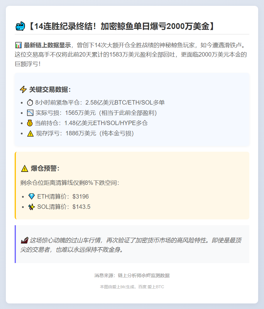 14次全胜鲸鱼浮亏2000万