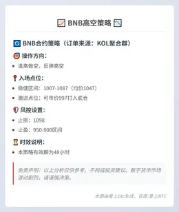 2025-11-04 12:26:29 BNB高空策略