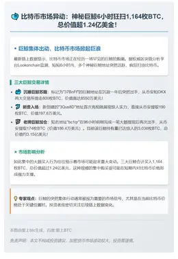 巨鲸狂购1164枚比特币