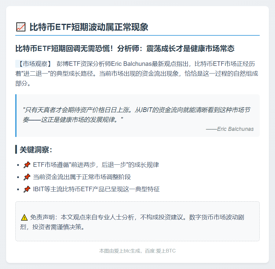 比特币ETF短期波动属正常现象