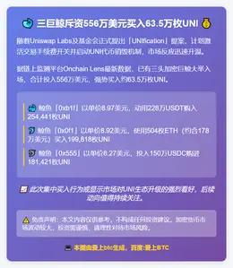三巨鲸斥资556万美元买入63.5万枚UNI