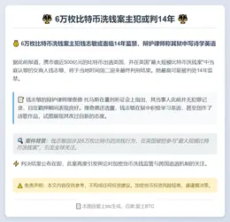6万枚比特币洗钱案主犯或判14年