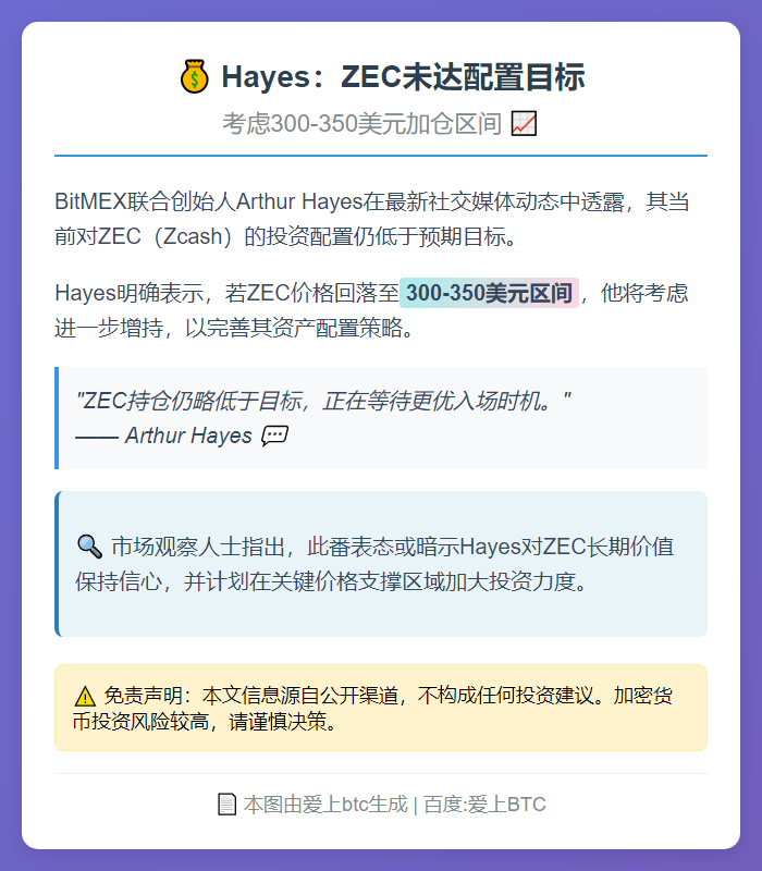 Hayes：ZEC未达配置目标，考虑300-350美元加仓