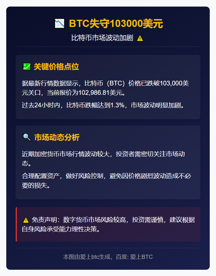 BTC失守103000美元