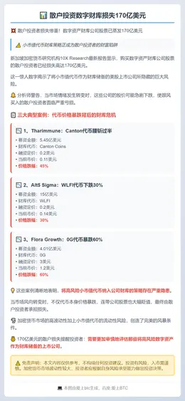 散户投资数字财库损失170亿美元