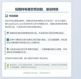 短期持有者恐慌加剧，波动持续