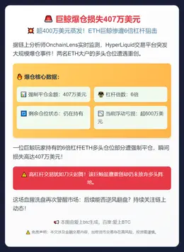 巨鲸爆仓损失407万美元