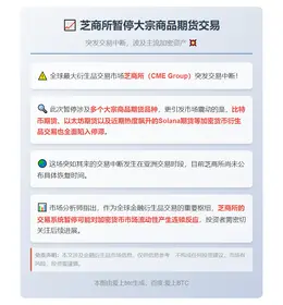 芝商所暂停大宗商品期货交易