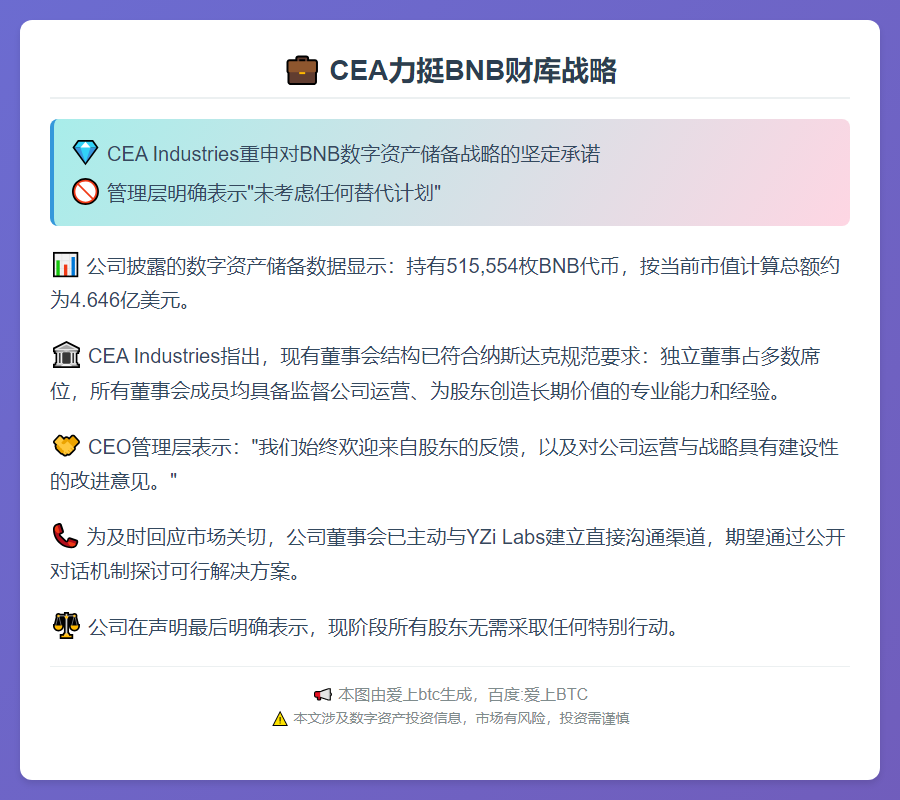 CEA力挺BNB财库战略