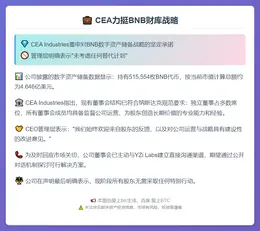 CEA力挺BNB财库战略