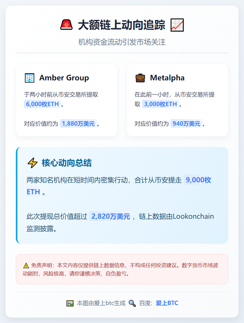 Amber Group与Metalpha从币安提取9000枚