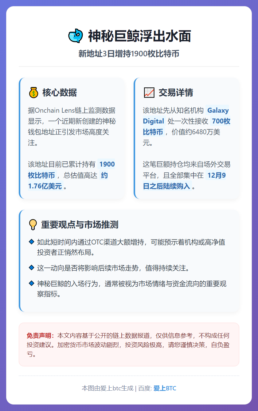 新地址3日增持1900枚比特币