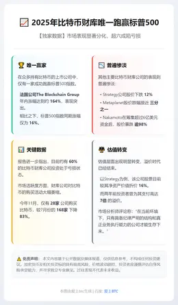 2025年比特币财库唯一跑赢标普500
