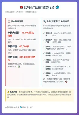 比特币“积累者”本月增持7.5万枚