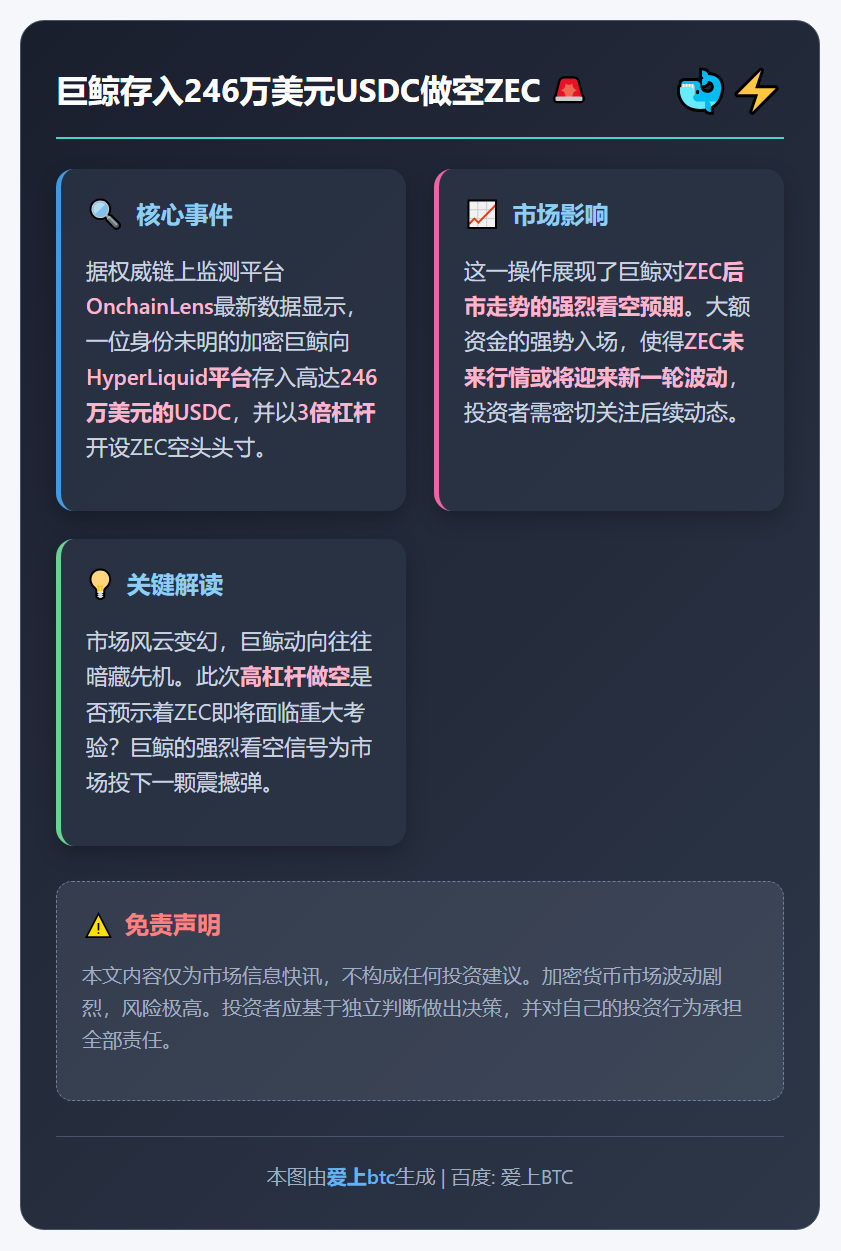 巨鲸存入246万美元USDC做空ZEC