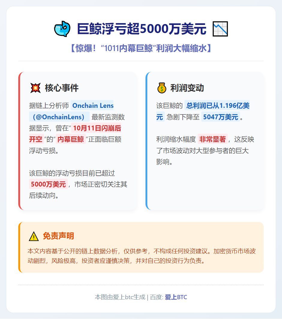 巨鲸浮亏超5000万美元