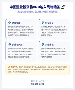 中国置业投资将BNB纳入战略储备