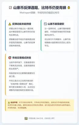 山寨币反弹遇阻，比特币仍受青睐