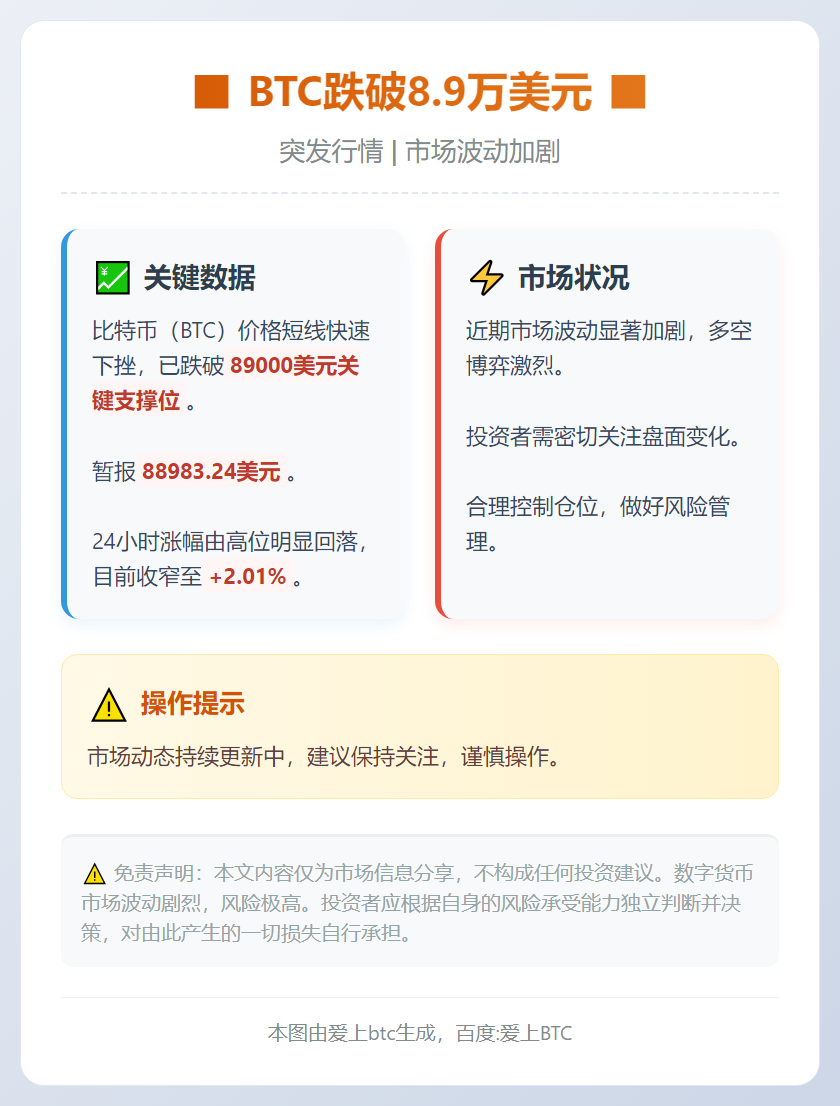 BTC跌破8.9万美元