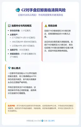 CZ对手盘巨鲸面临清算风险