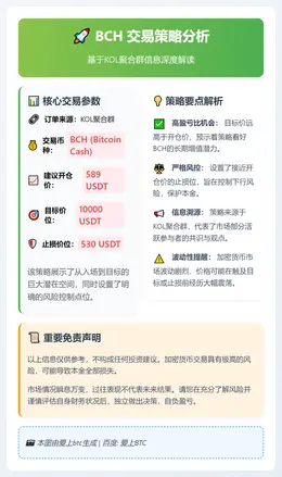 2025-12-19 17:29:31 BCH交易策略