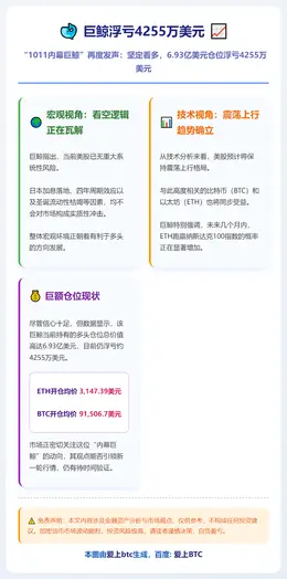 巨鲸浮亏4255万美元