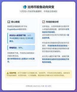比特币鲸鱼12月流入币安减半