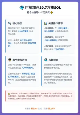 巨鲸加仓20.7万枚SOL，持仓价值超6300万美元