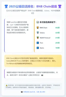 2025公链日活排名：BNB Chain居首