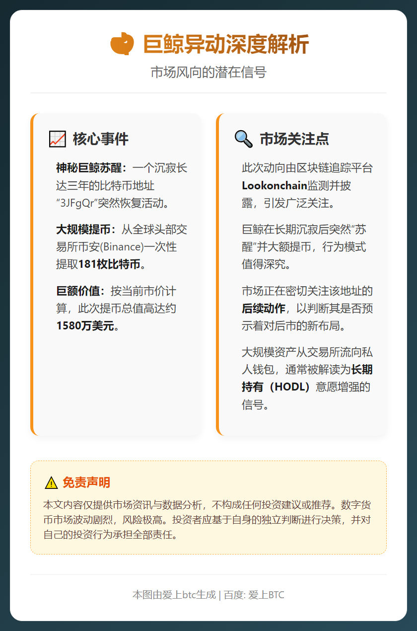 巨鲸从币安提取181枚比特币
