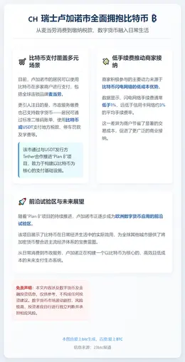 瑞士卢加诺市可用比特币消费