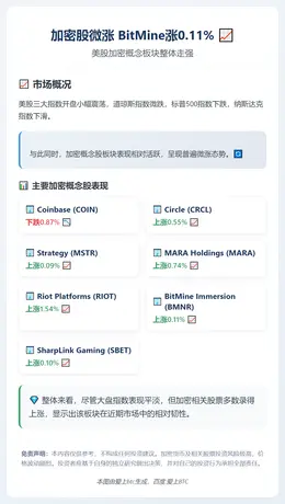 加密股微涨 BitMine涨0.11%
